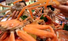 Rapinatore gourmet prende di mira una pescheria e si fa consegnare dei crostacei
