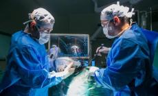 Ustionato a 10 mesi con l'olio, trapianto con  la pelle dei genitori 