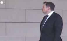 Tweet contro Fauci e Lgbtq, nuova bufera su Musk