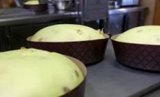 Milano, in una fetta di "Panettone Sospeso" tutte le disuguaglianze della citta'