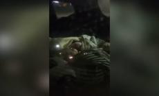 Senza una casa, due bambine da mesi dormono in macchina a Milano con la famiglia- Video