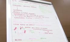 Al via i laboratori didattici 'Ricercamondo'