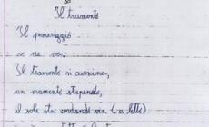 Messina Denaro, l'operazione dei Ros "Tramonto" prende il nome da una poesia