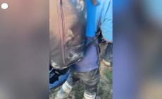 Germania, Greta nuovamente portata via dalla polizia nella protesta anti-carbone