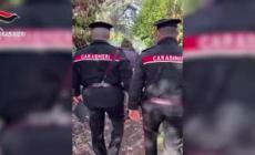 Violenze su animali in un canile nel Milanese, due denunciati