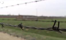 La liberazione di Auschwitz