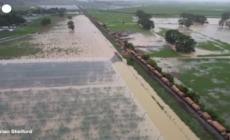 Nuova Zelanda, un treno merci deraglia mentre attraversa area allagata