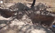 Messico, scoperti 31 cadaveri all'interno di tombe clandestine
