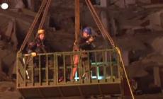 Terremoto in Turchia, due gatti riuniti ai loro padroni dopo il salvataggio