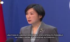 Covid, Cina: "Basta con diffamazione sull'origine del virus"