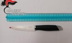 Accoltella il marito per una lite, arrestata