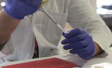 Covid, La scienza fa quadrato: "Difendiamo chi era in prima linea"