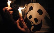 Mosca inserisce Wwf nella lista degli agenti stranieri