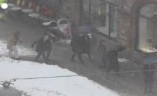 Svezia, e' ancora inverno: bufera di neve a Stoccolma