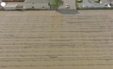 Alluvione in California, a Pajaro case e auto sommerse dall'acqua