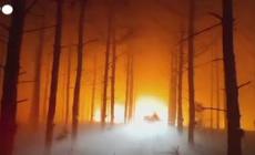 Argentina, incendi in aree forestali: devastati piu' di tremila ettari
