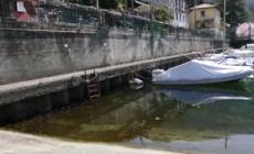 Siccita', secondo inverno secco consecutivo: lago Maggiore in sofferenza