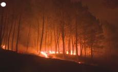Aumentano i morti per il clima: "Politiche insufficienti"