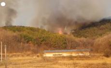 Corea del Sud, incendi boschivi a sud-ovest di Seul