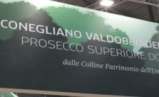 Prosecco Superiore Docg, continua il trend rialzista