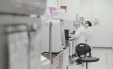Moderna al lavoro sui vaccini contro virus sinciziale e melanoma