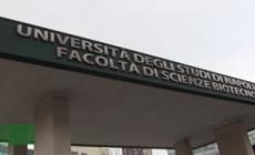 Medicina, al via i Tolc Med a Napoli. Gli studenti: "Ancora troppe restrizioni"