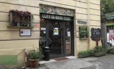 Come un albero, il museo bistrot con cucina a chilometro zero e inclusione della disabilita'