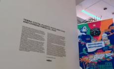Arte sostenibile nella caffetteria di Triennale Milano