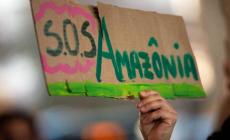 Amazzonia: ong, deforestazione aumentata del 70% a marzo