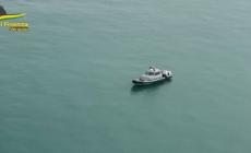 Maxi-sequestro di cocaina a Venezia, 850 kg su una nave in rada