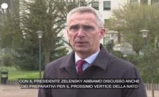 Ucraina, Stoltenberg: "Zelensky partecipera' al vertice Nato di luglio a Vilnius"