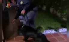 Polizia di Torino sgomina una rete di traffico di stupefacenti, sei arresti