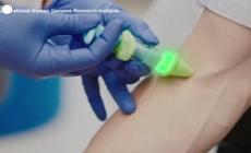 Rivoluzione per il Dna, nuove frontiere per le cure