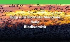 Oggi e' la giornata mondiale della biodiversita'