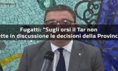 Orsi, Fugatti: "Il Tar non mette in discussione le decisioni della Provincia"