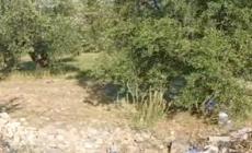 Bari, auto fuori strada a Binetto: morto 17enne, tre feriti