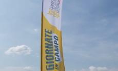 Genetica e tecnologia aumentano la competitivita' del grano made in Italy