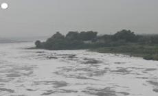 India, una catena umana per salvare lo Yamuna dall'inquinamento