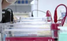 Arrivano nuove armi contro i tumori del cervello