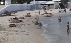 Ucraina, Odessa: bagnanti in spiaggia fra detriti e rifiuti