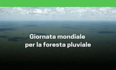 Giornata mondiale della foresta pluviale
