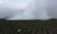 Indonesia, maxi-incendio nell'isola di Sumatra: bruciati ettari di torbiere