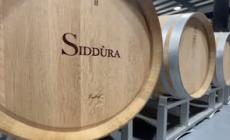 Nei vini di Siddu'ra il racconto di un intero territorio