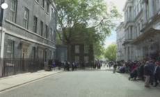 Londra, il gatto Larry "attende" Biden sul tappeto rosso di Downing Street