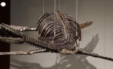 New York, i resti di predatori preistorici all'asta da Sotheby's