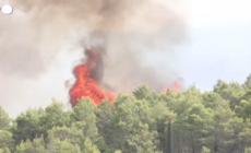 Nel 2022 oltre 30mila reati ambientali, 84 al giorno