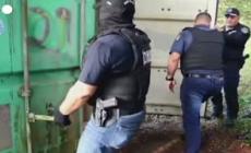 Sequestrate sei tonnellate di pinne di squalo a Panama, cinque arresti