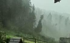 Tromba d'aria devasta i boschi del Cadore. Il presidente Zaia: "Alcuni versanti sono stati completamente abbattuti"