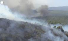 Grecia, Vigili del fuoco in lotta contro gli incendi per il secondo giorno