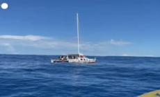 Marinaio e il suo cane salvati dopo due mesi alla deriva nel Pacifico